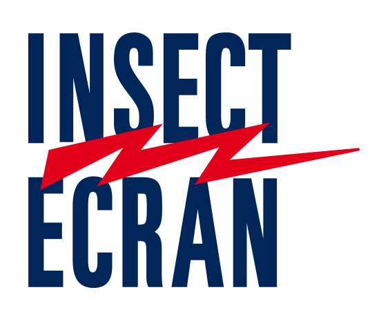 Logo IE